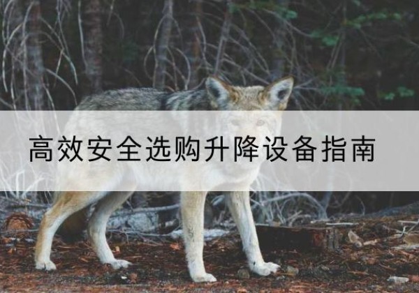 姜堰升降货梯厂家推荐-*安全选购升降设备指南