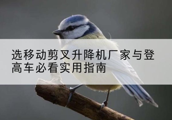 姜堰电动升降机厂家-选移动剪叉升降机厂家与登高车必看实用指南