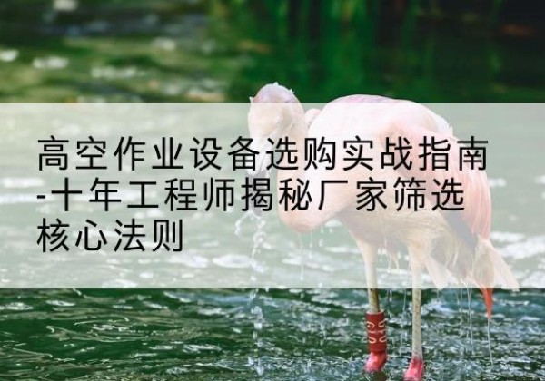 姜堰剪叉式升降机厂家-高空作业设备选购实战指南-十年工程师揭秘厂家筛选核心法则
